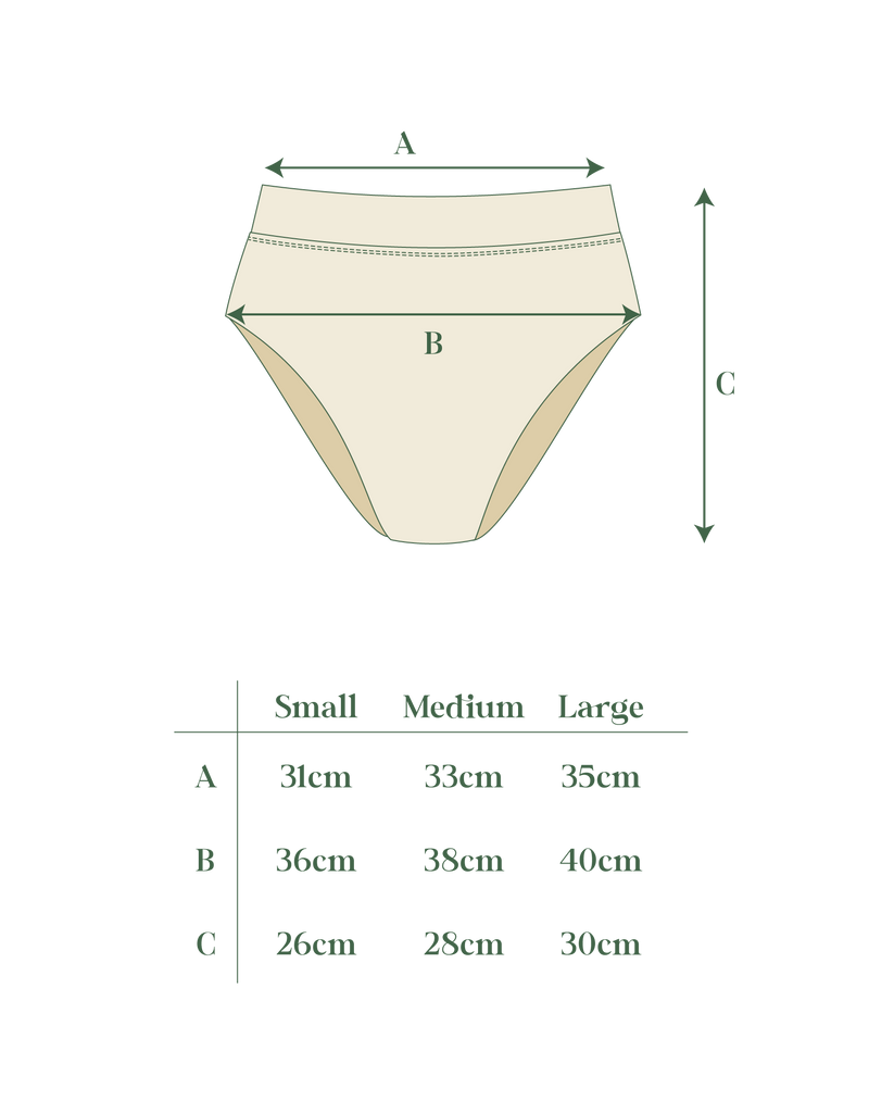 MIDI LINE BOTTOM - Espresso